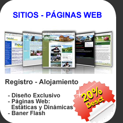 Paginas lazonaclick